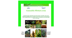 Desktop Screenshot of cannabis-picture.com