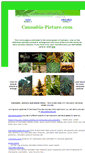 Mobile Screenshot of cannabis-picture.com
