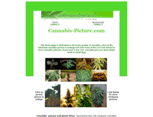Tablet Screenshot of cannabis-picture.com
